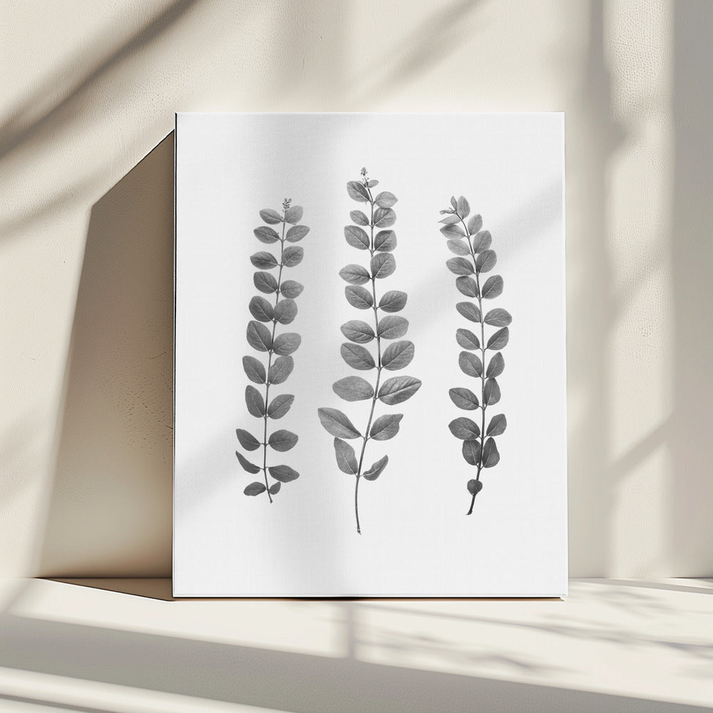 Twijgen | Canvas