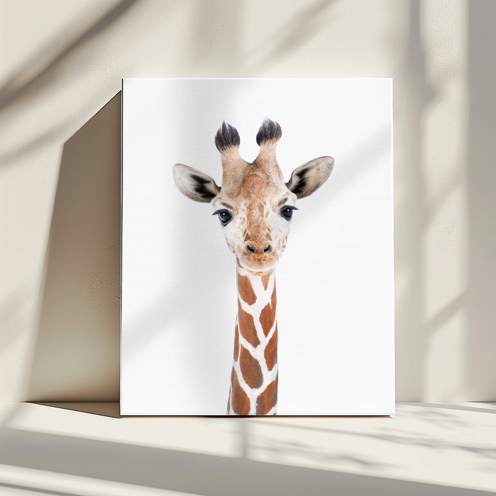 Baby Giraf | Canvas