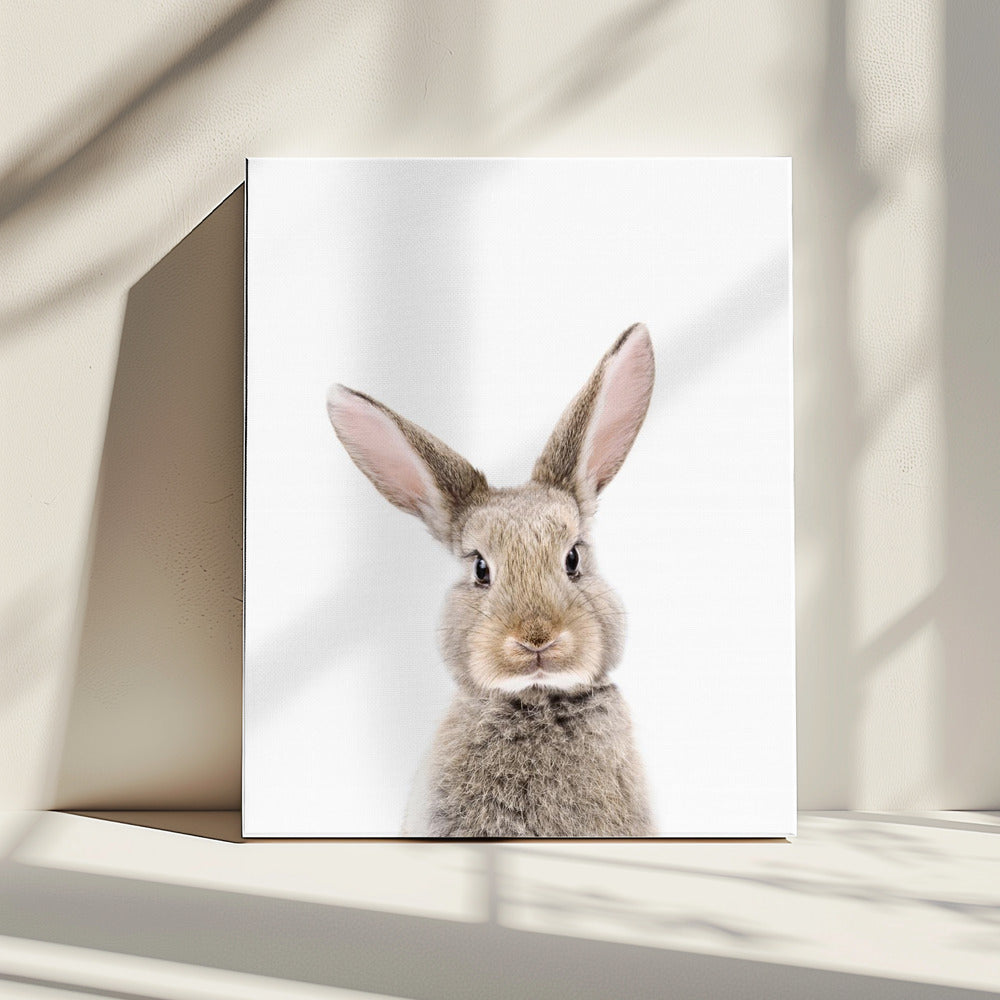 Baby Konijn | Canvas