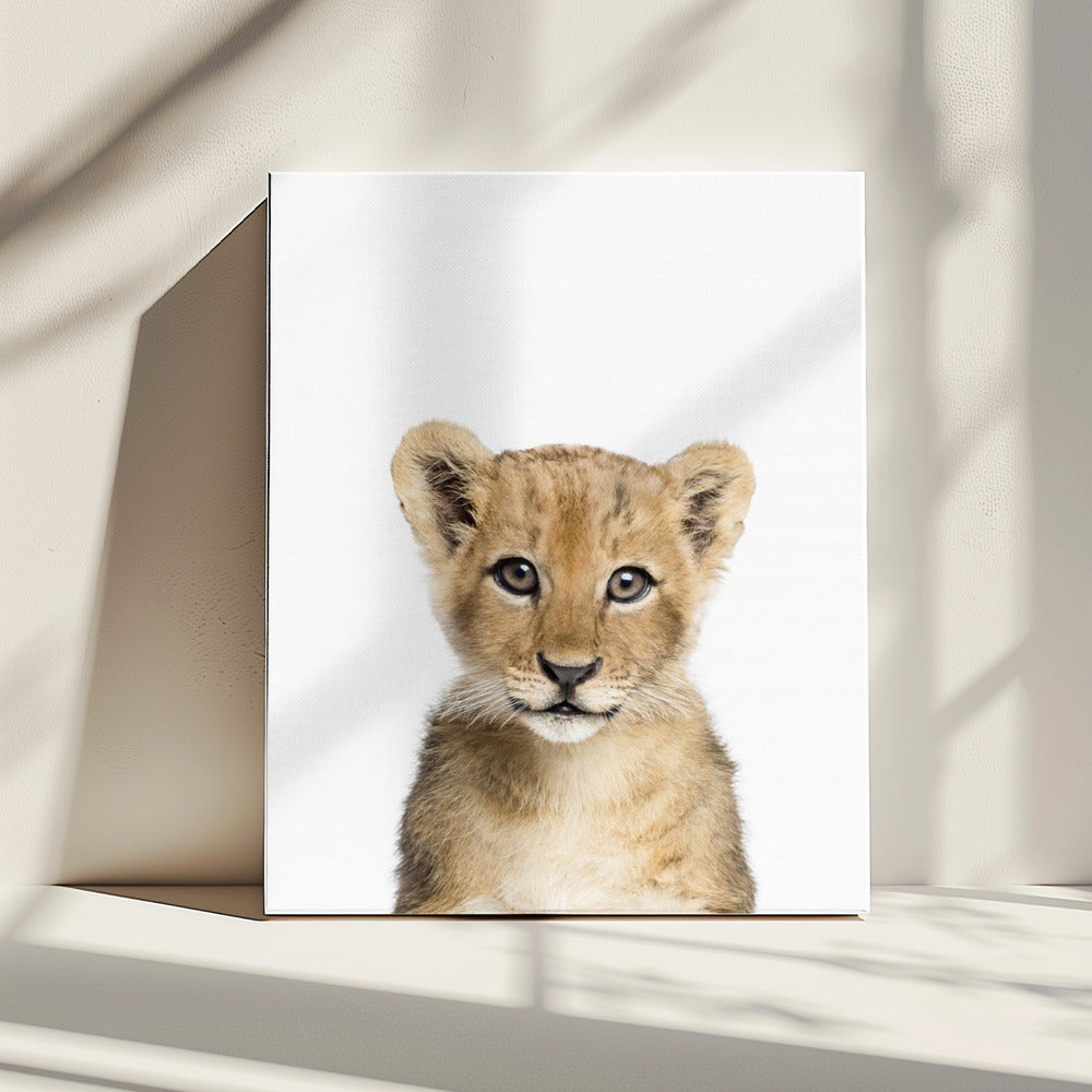 Baby Leeuw | Canvas