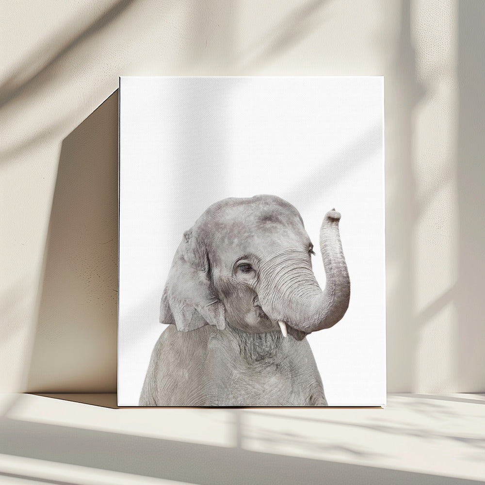 Baby Olifant | Canvas