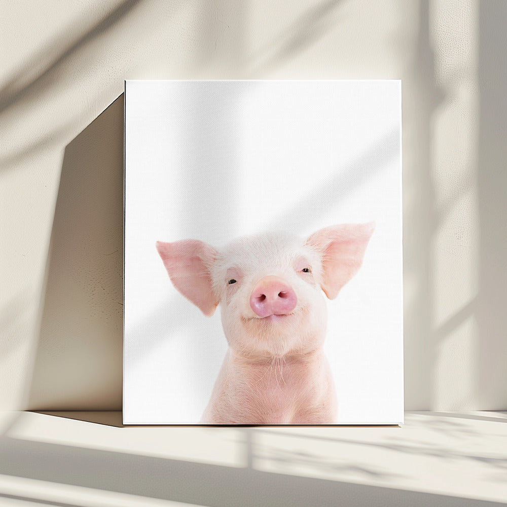Babyvarken | Canvas