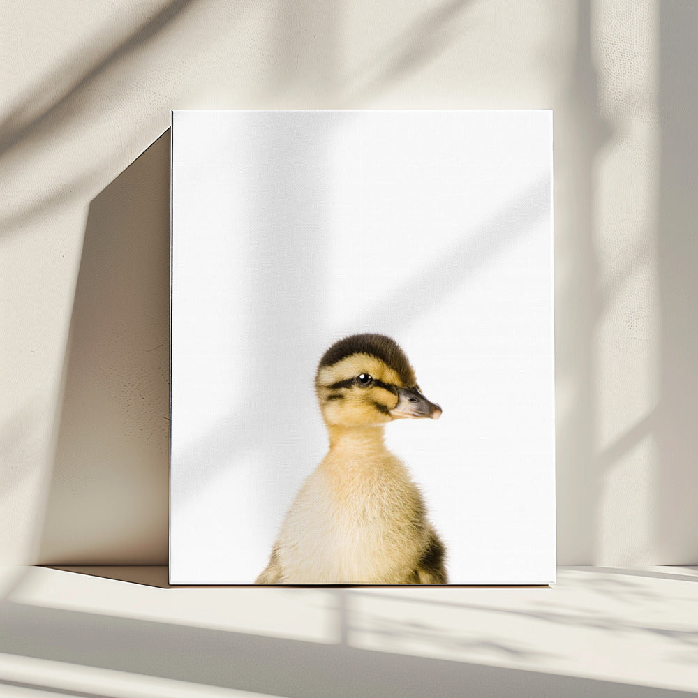 Baby Eend | Canvas