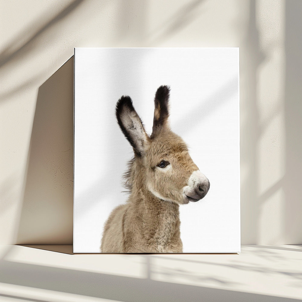 Baby ezel | Canvas