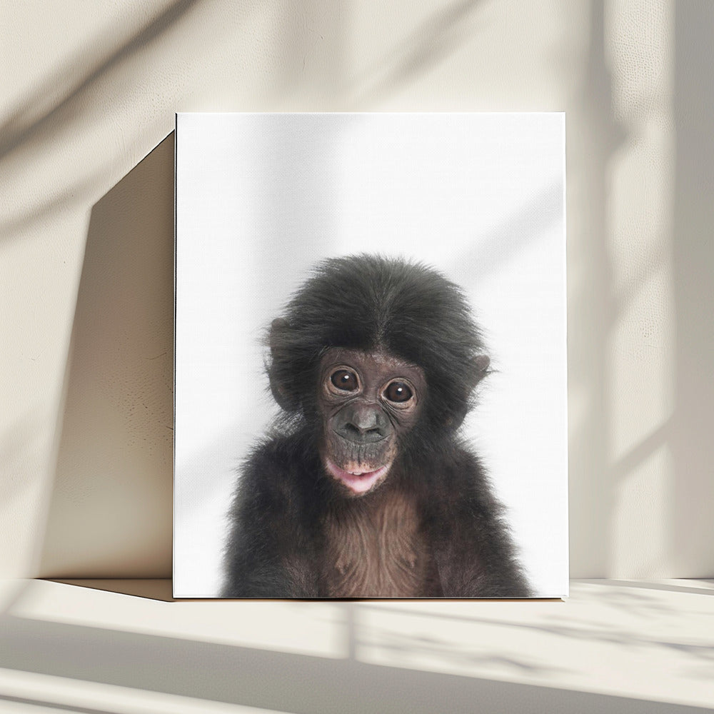Baby Aap | Canvas