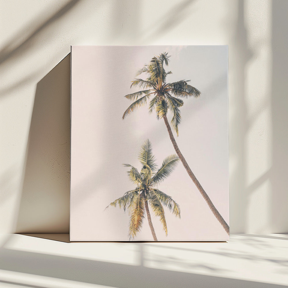 Tropische palmen | Canvas