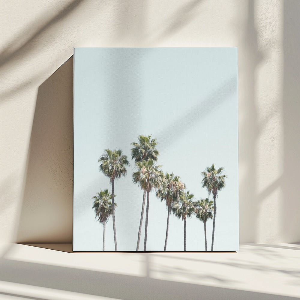 Blauwe palmbomen | Canvas