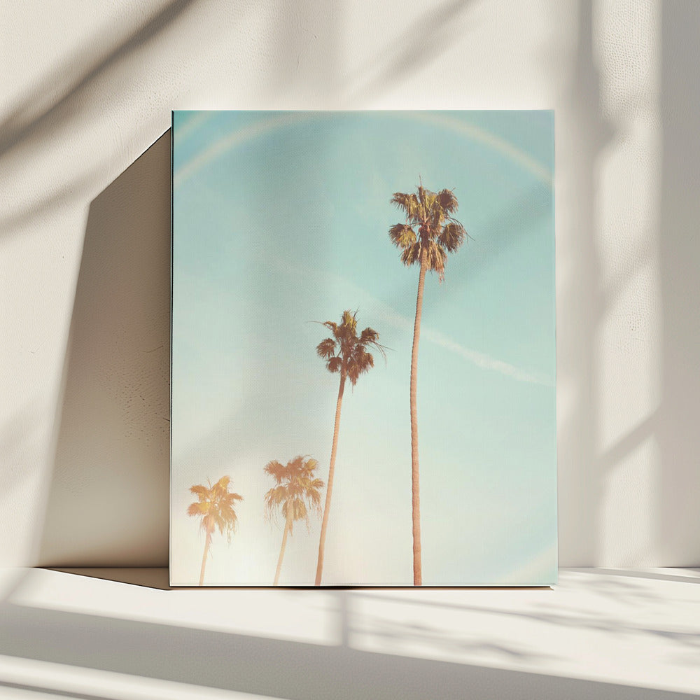 Zonnige Cali-palmboom | Canvas