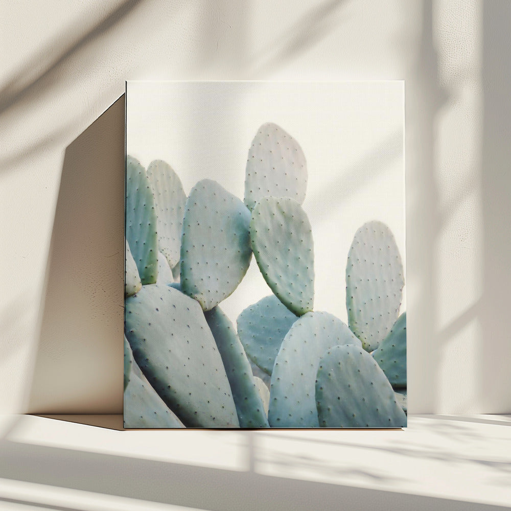 Pastel Cactussen | Canvas