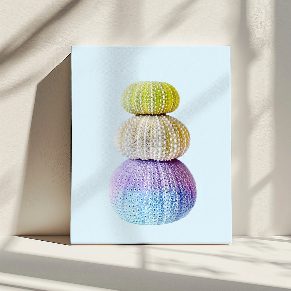Zee-egels | Canvas