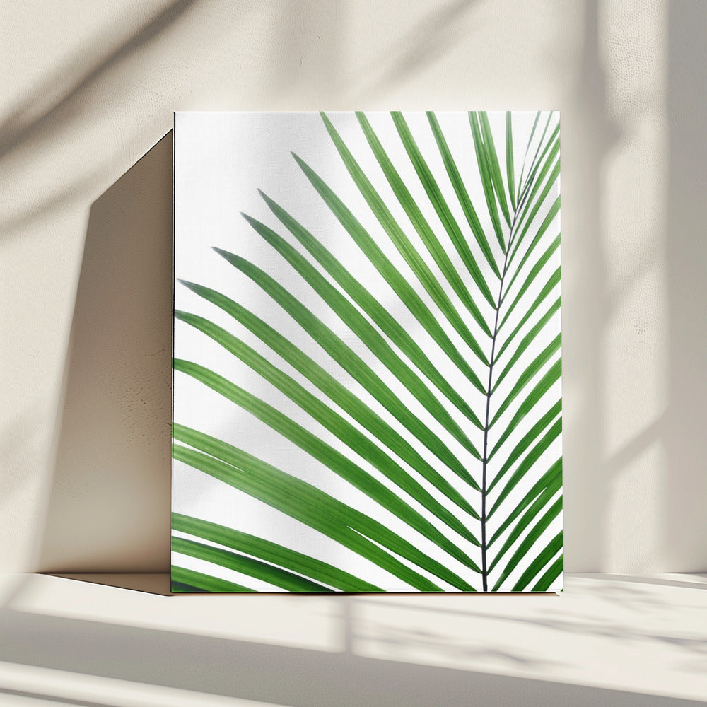 Groen palmblad | Canvas