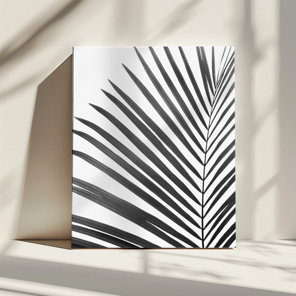 Zwart-wit palmblad | Canvas