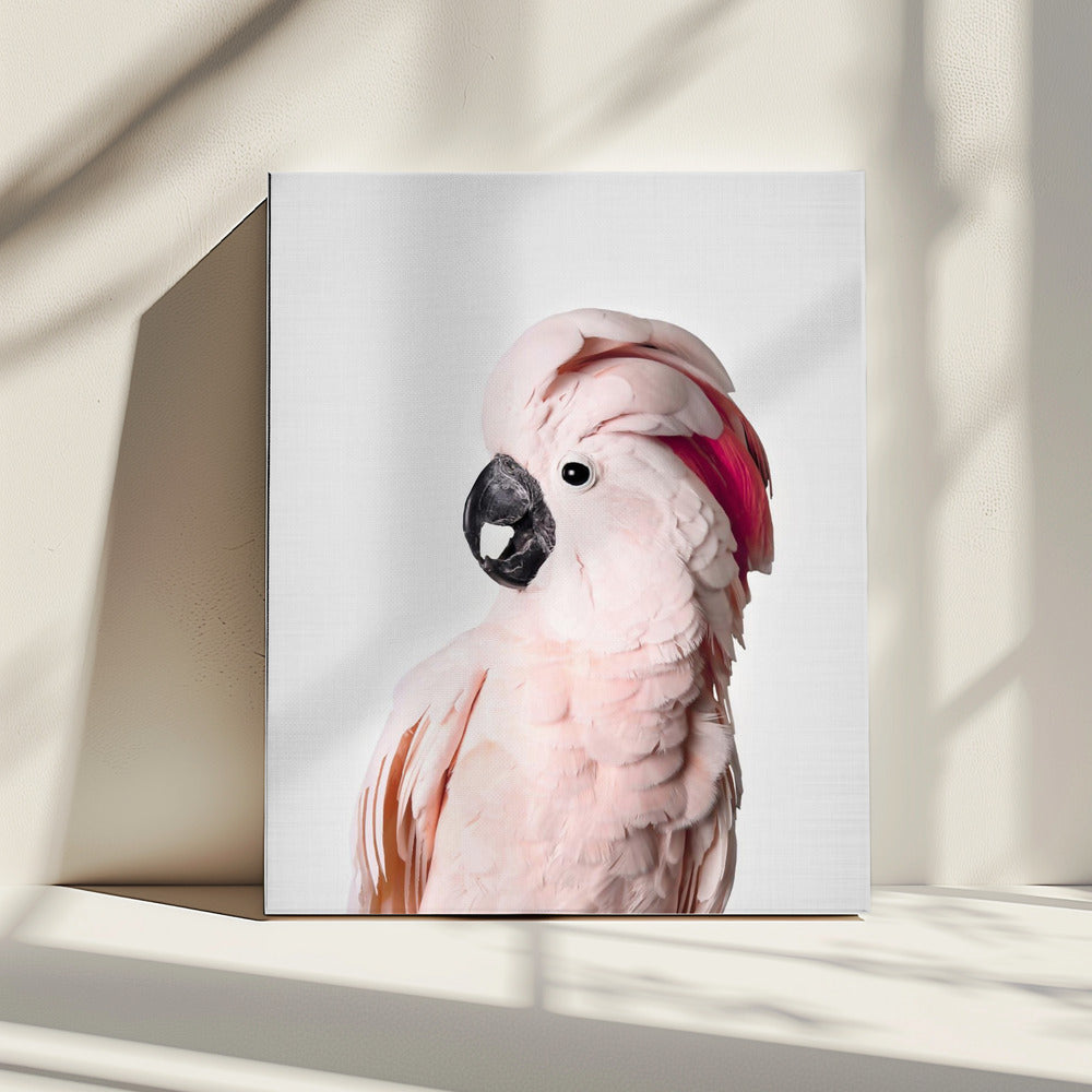 Roze Kaketoe | Canvas