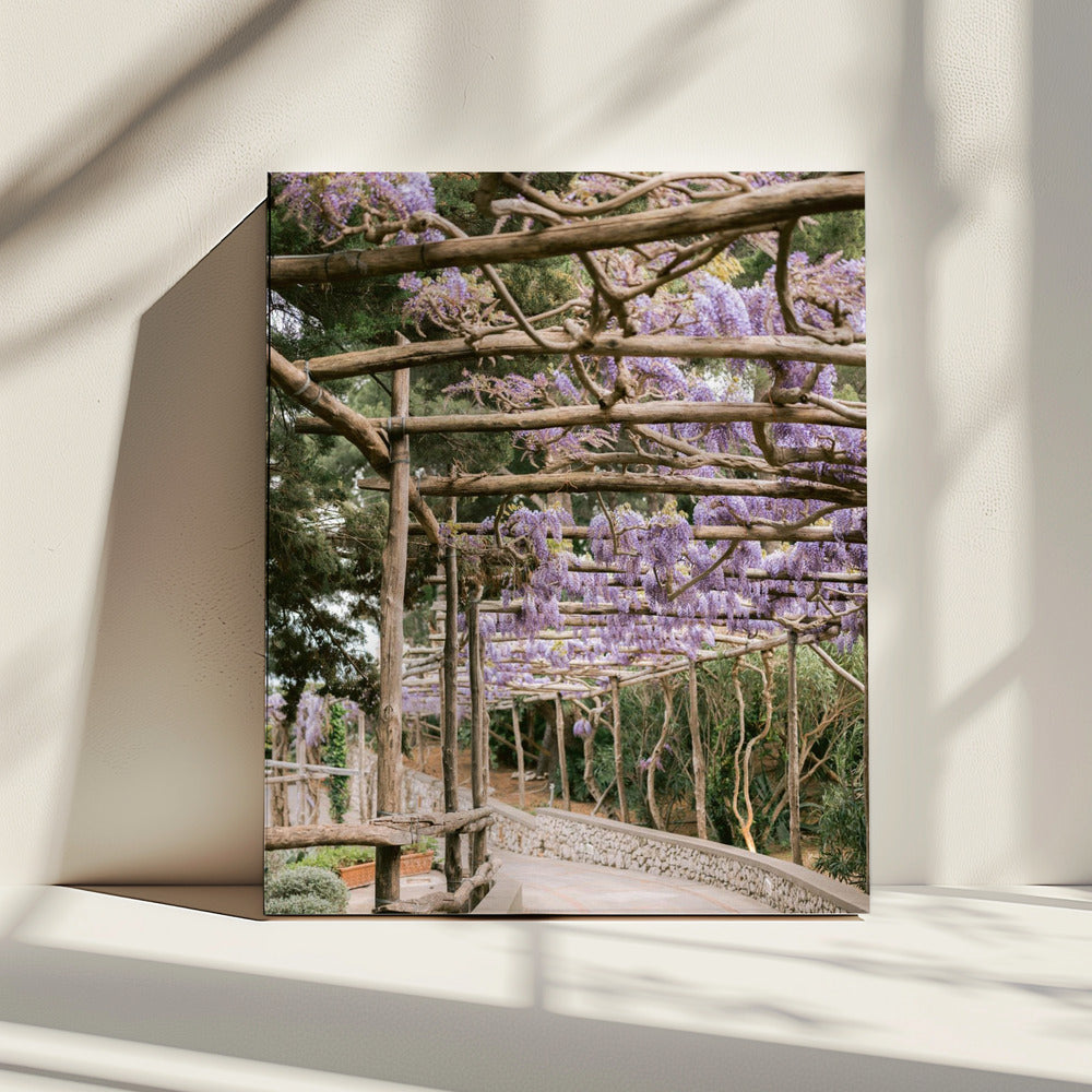 De Lavendel Loopbrug | Canvas