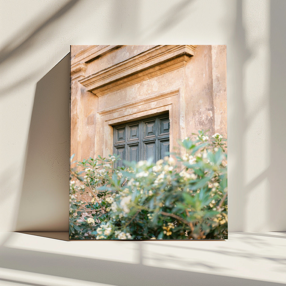 Botanisch Trastevere Rome | Canvas