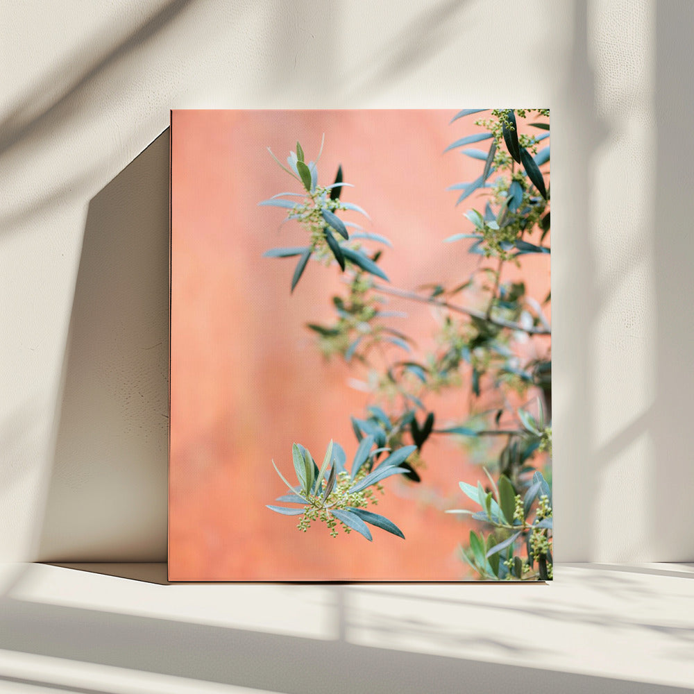 Groen en koraal | Canvas