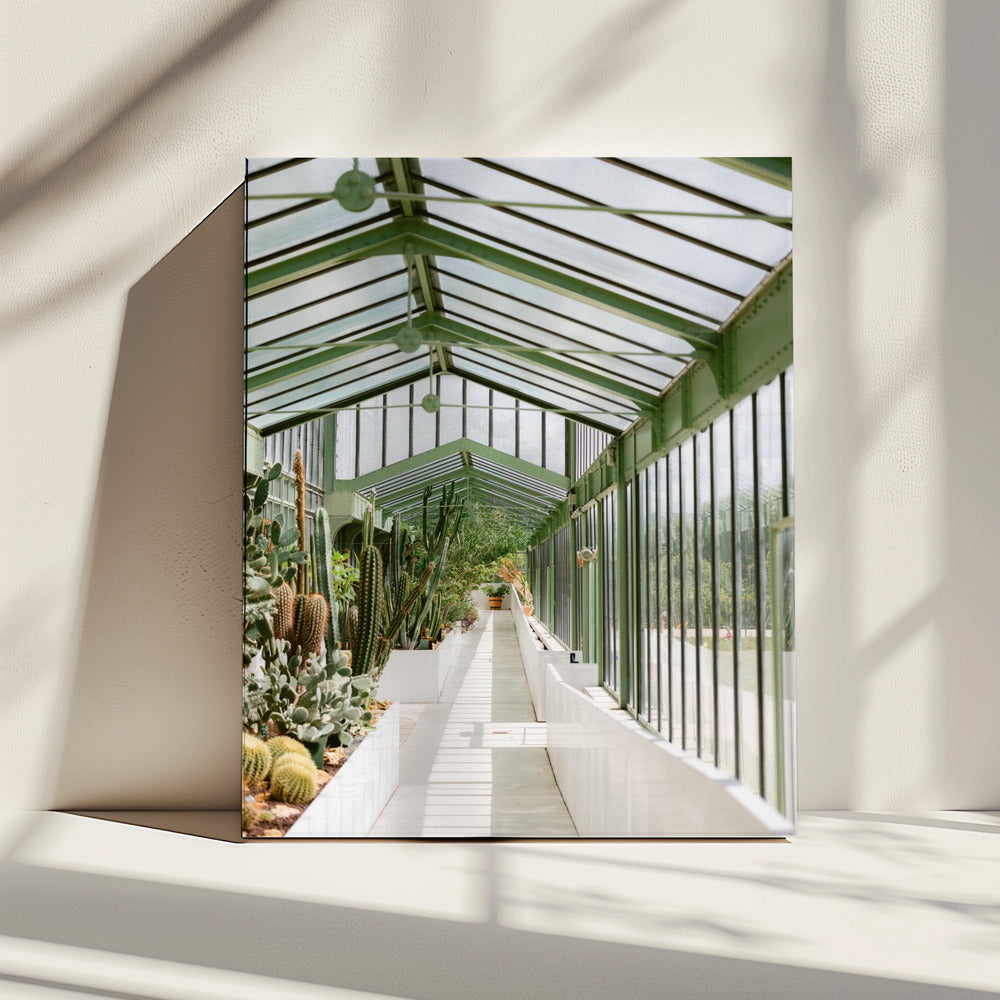 Botanische tuin van Parijs | Canvas