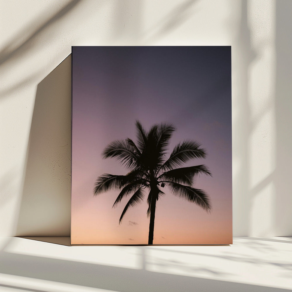 Costa Ricaanse palmboom | Canvas