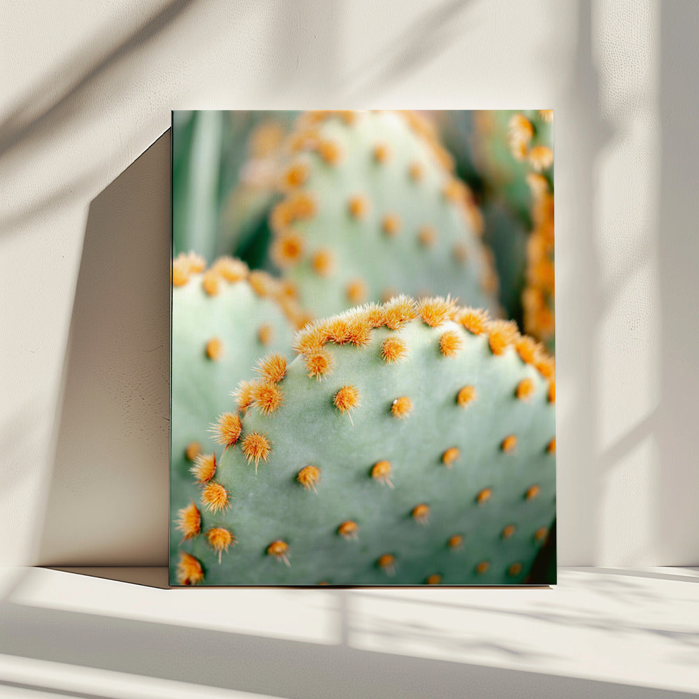 Oranje en Groen II - Botanische fotografie van Marrakech | Canvas