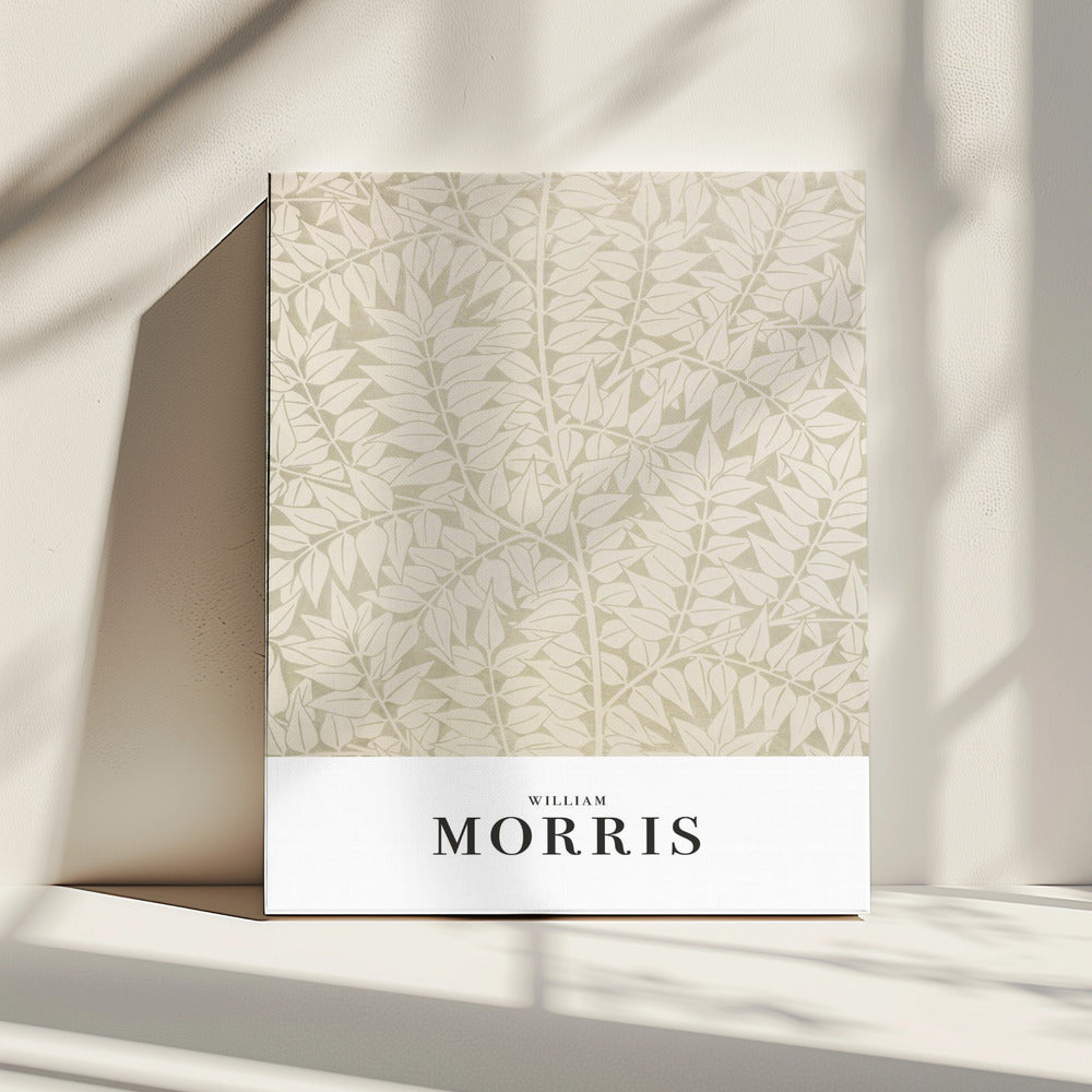 Branch | Canvas