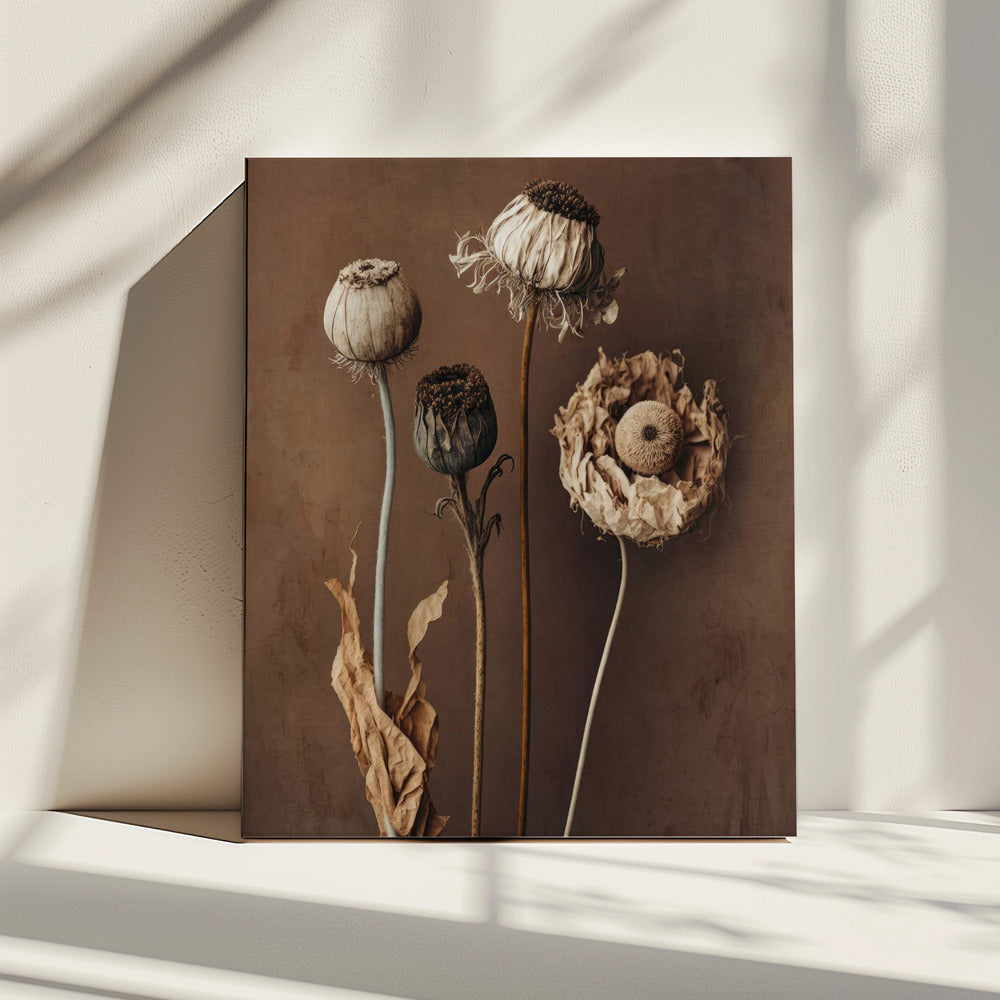 Vervaagde elegantie | Canvas