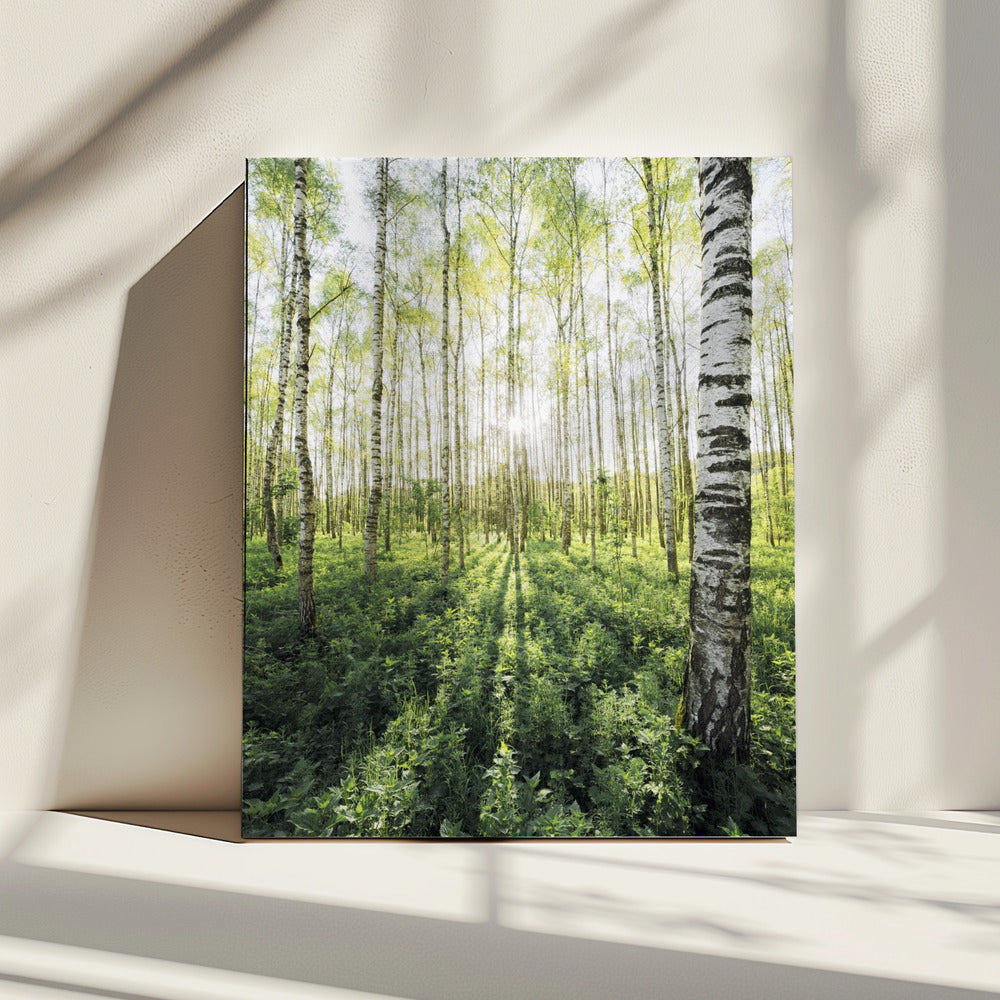 Birch Grove verticaal | Canvas