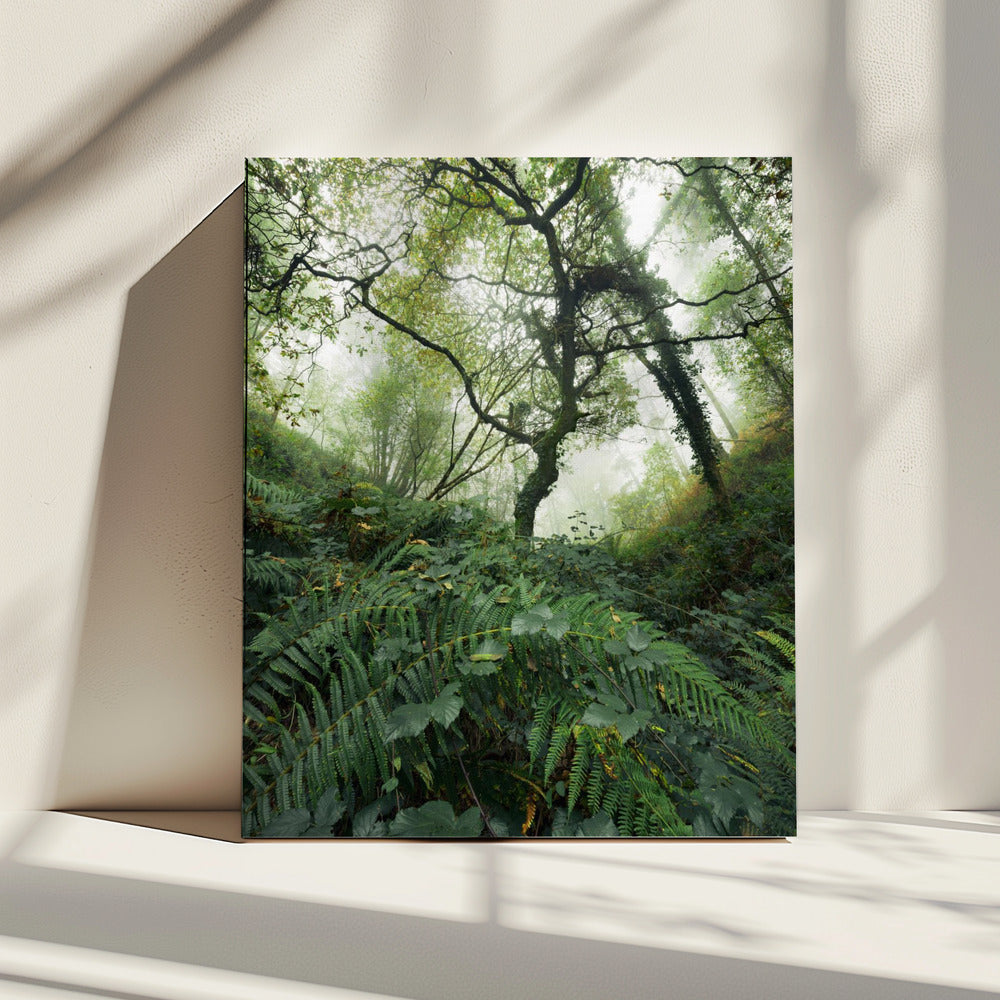 Bomenwereld | Canvas