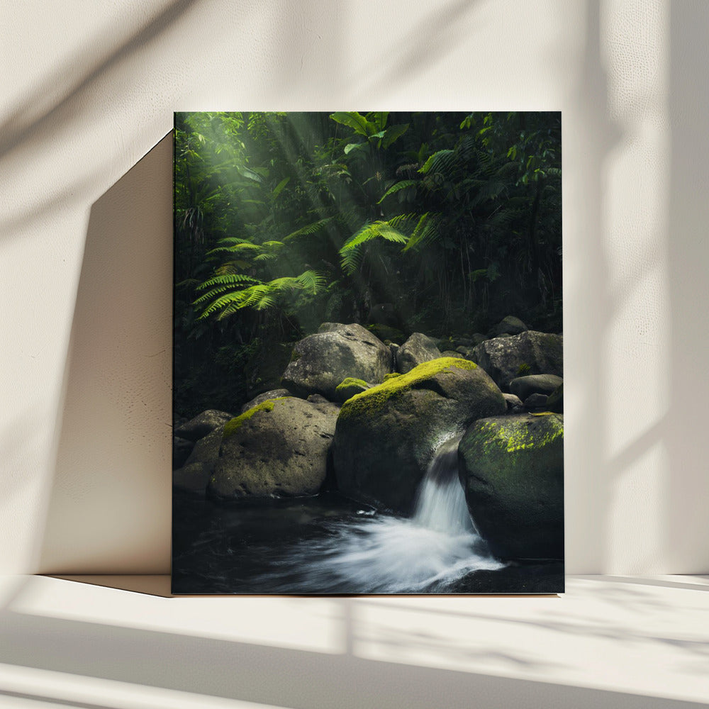 Mystieke jungle | Canvas