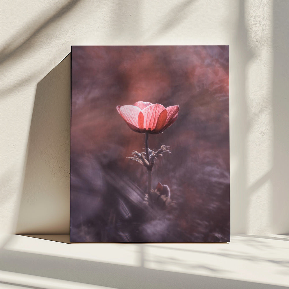 Vurig | Canvas