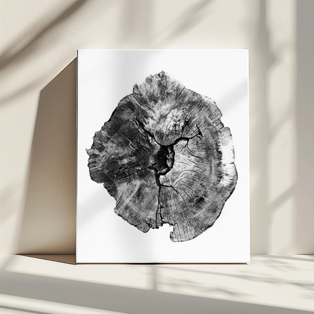 Oak Log | Canvas