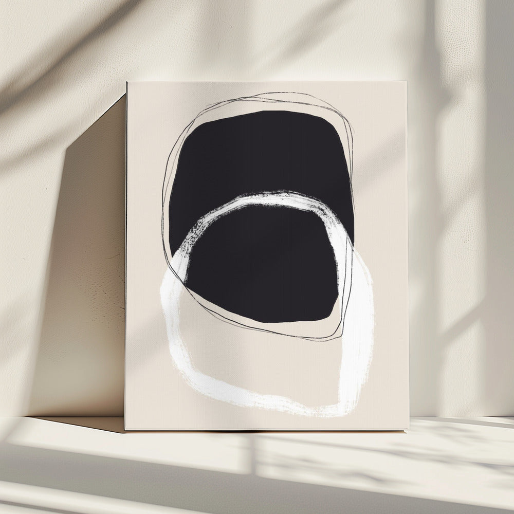 Black And White Shapes With Fluid Lines | Canvas
