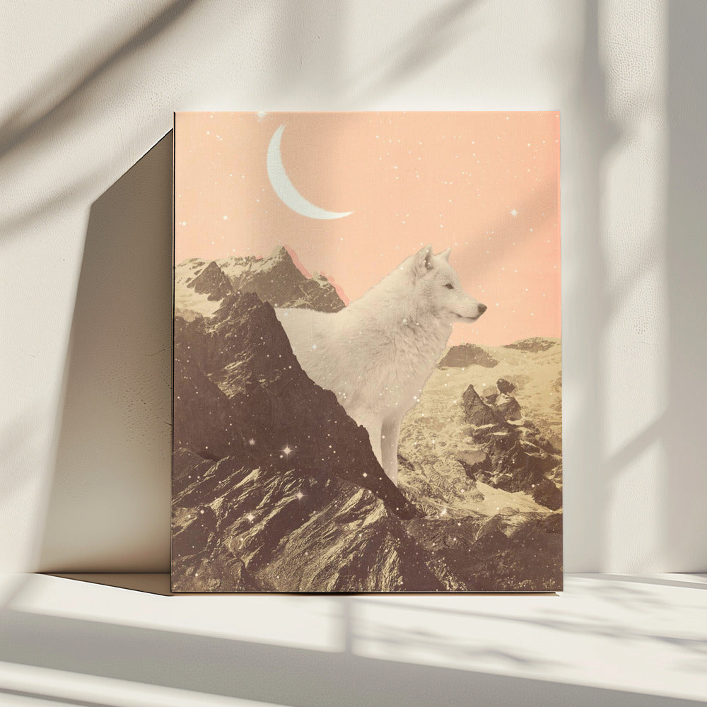 Reuzenwitte wolf in de bergen | Canvas