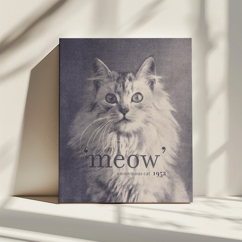 Beroemde Citaat Kat | Canvas