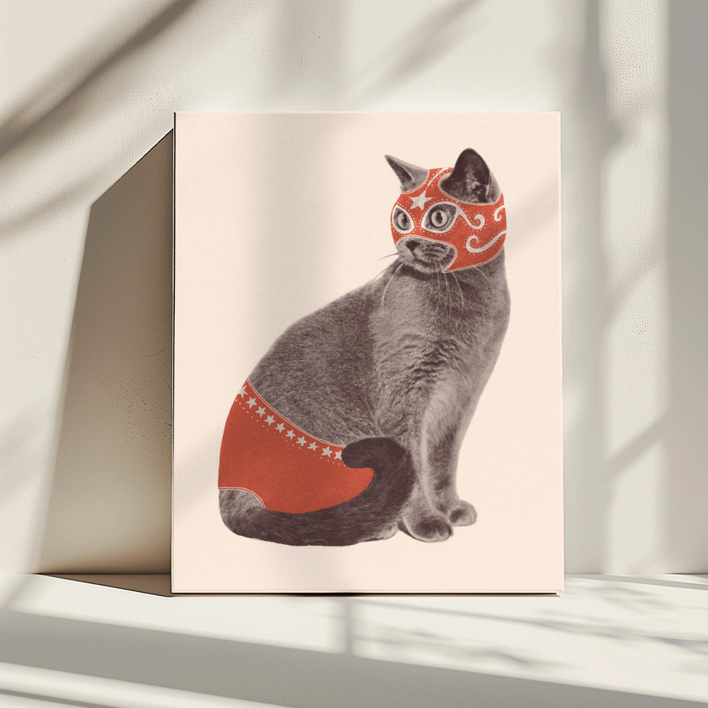 Chat Catcheur | Canvas