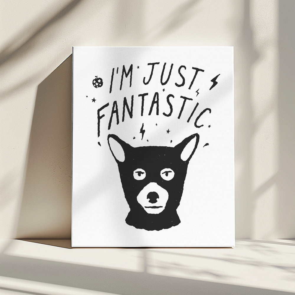 Ik ben gewoon fantastisch | Canvas