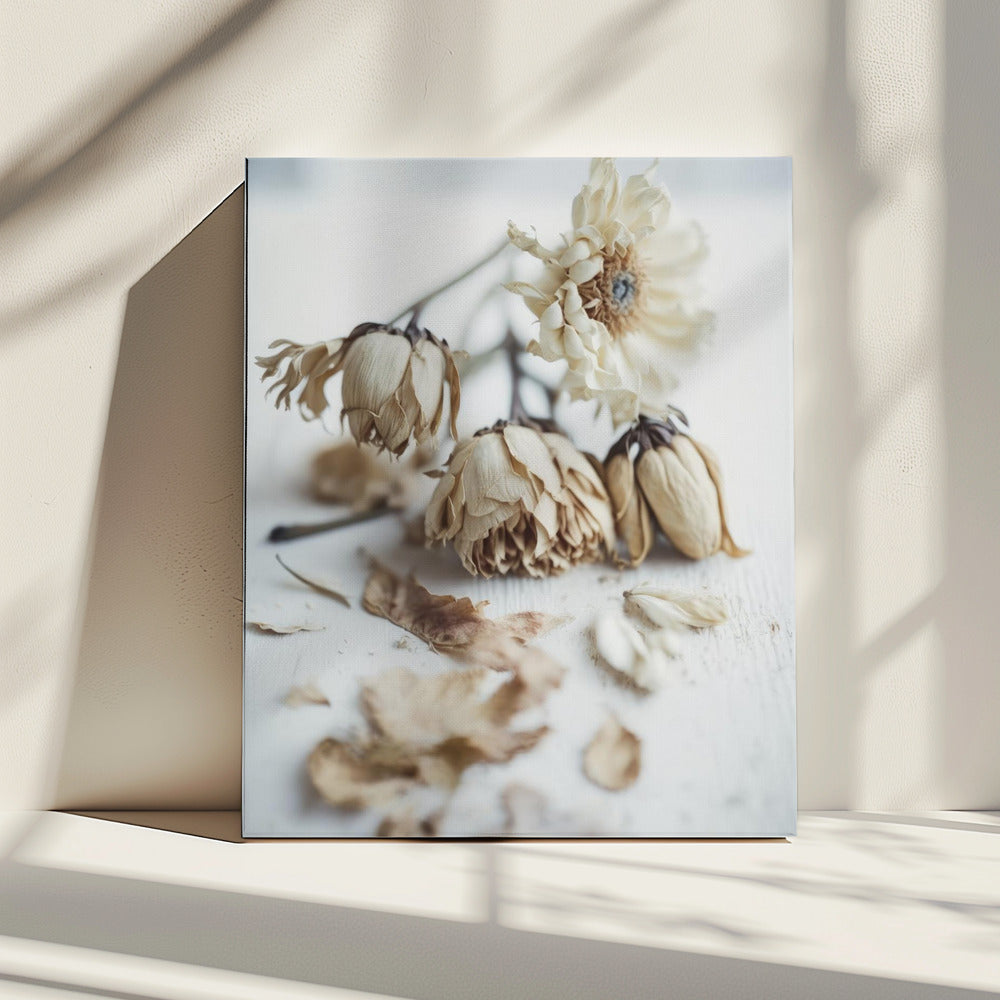 Vervaagde elegantie | Canvas