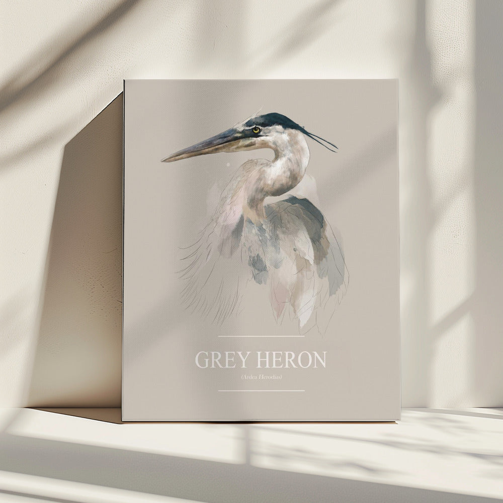 Blauwe reiger | Canvas