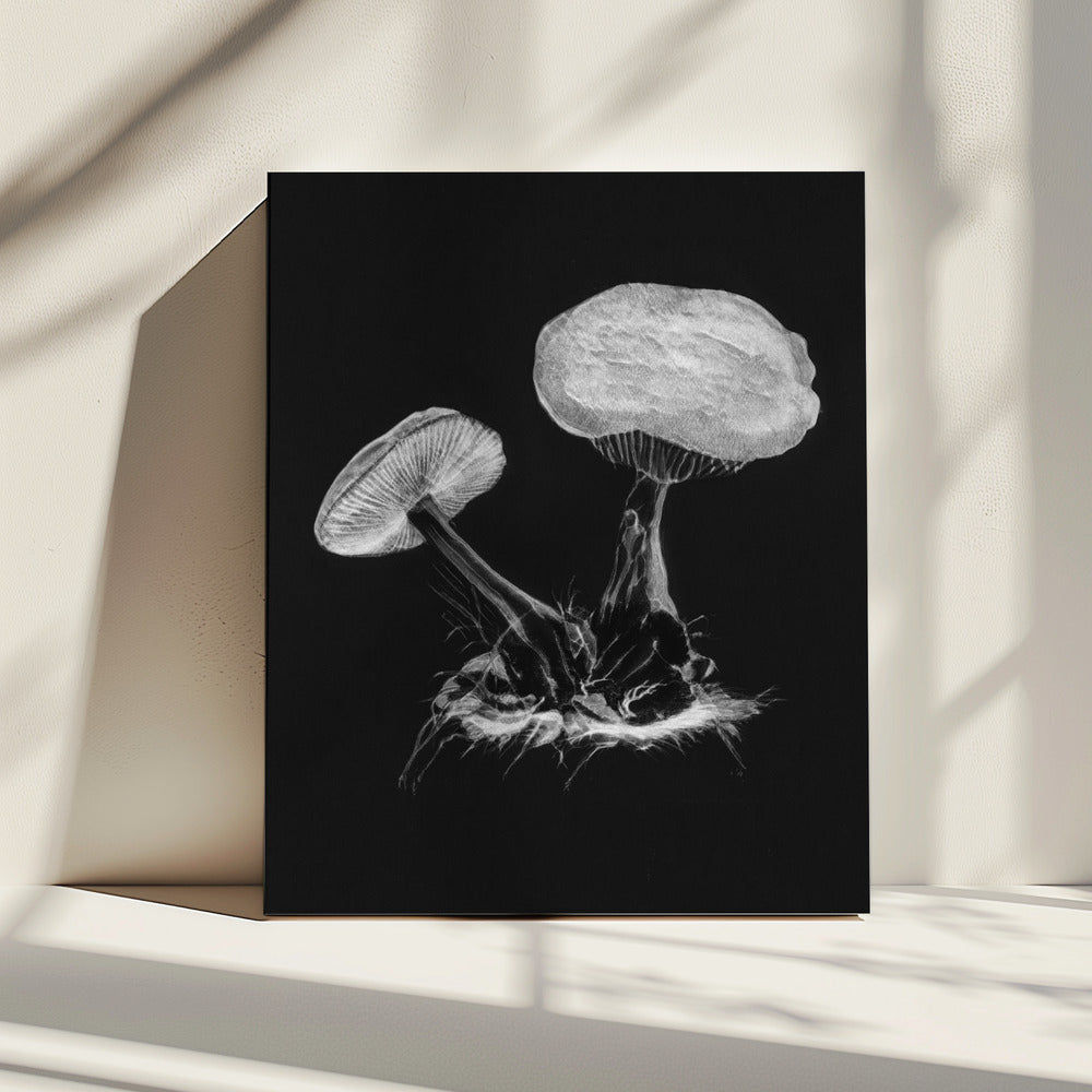 Vintage Violet Webcap Mushroom Donker Zwart | Canvas