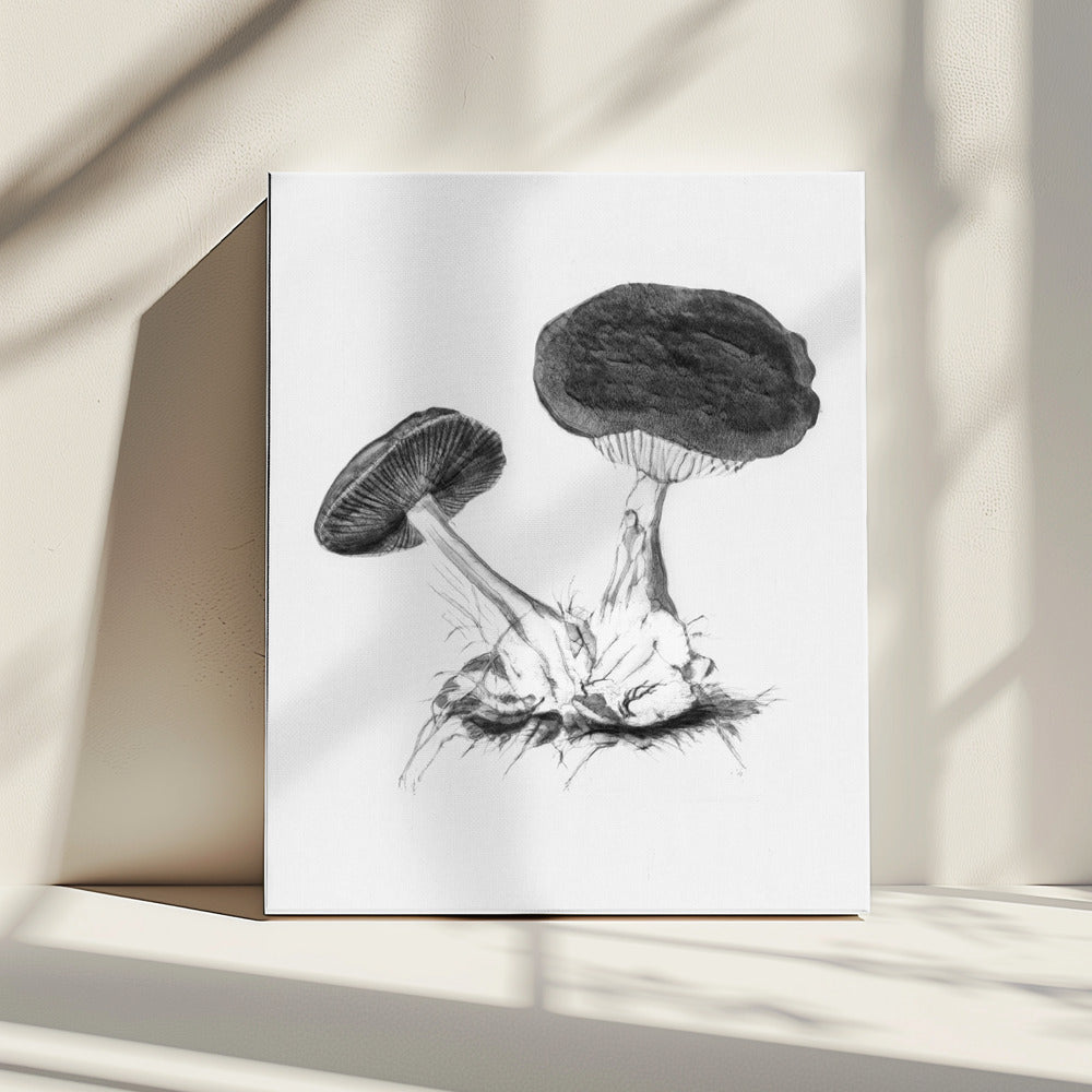 Vintage Violet Webcap Mushroom Helder Zwart | Canvas