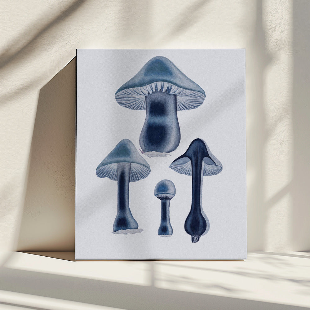 Agaricus Bulbosus - Blauw | Canvas