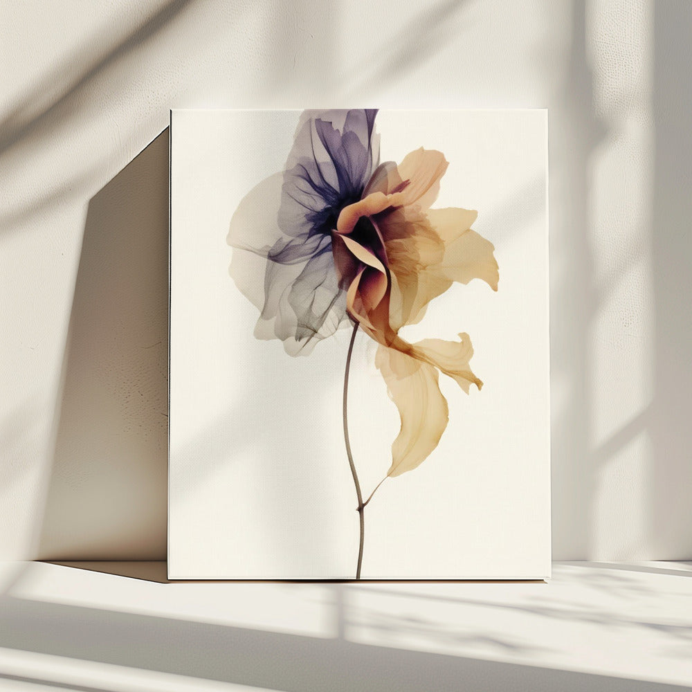 Chiffonbloem | Canvas