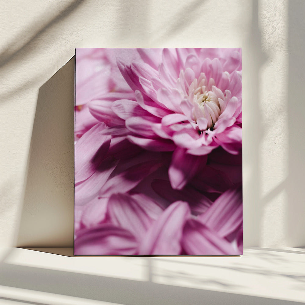 Roze Bloemblaadjes Symfonie | Canvas