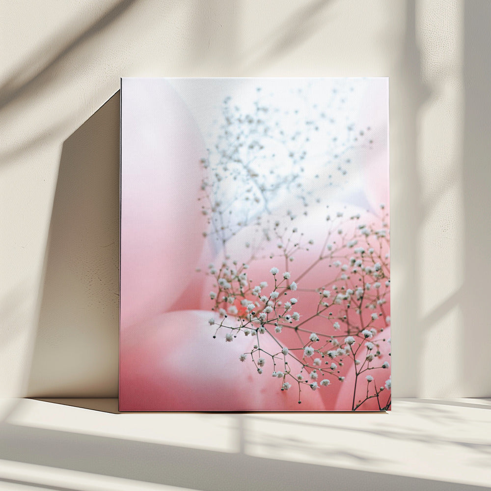 Delicate ballonnen met bloem | Canvas
