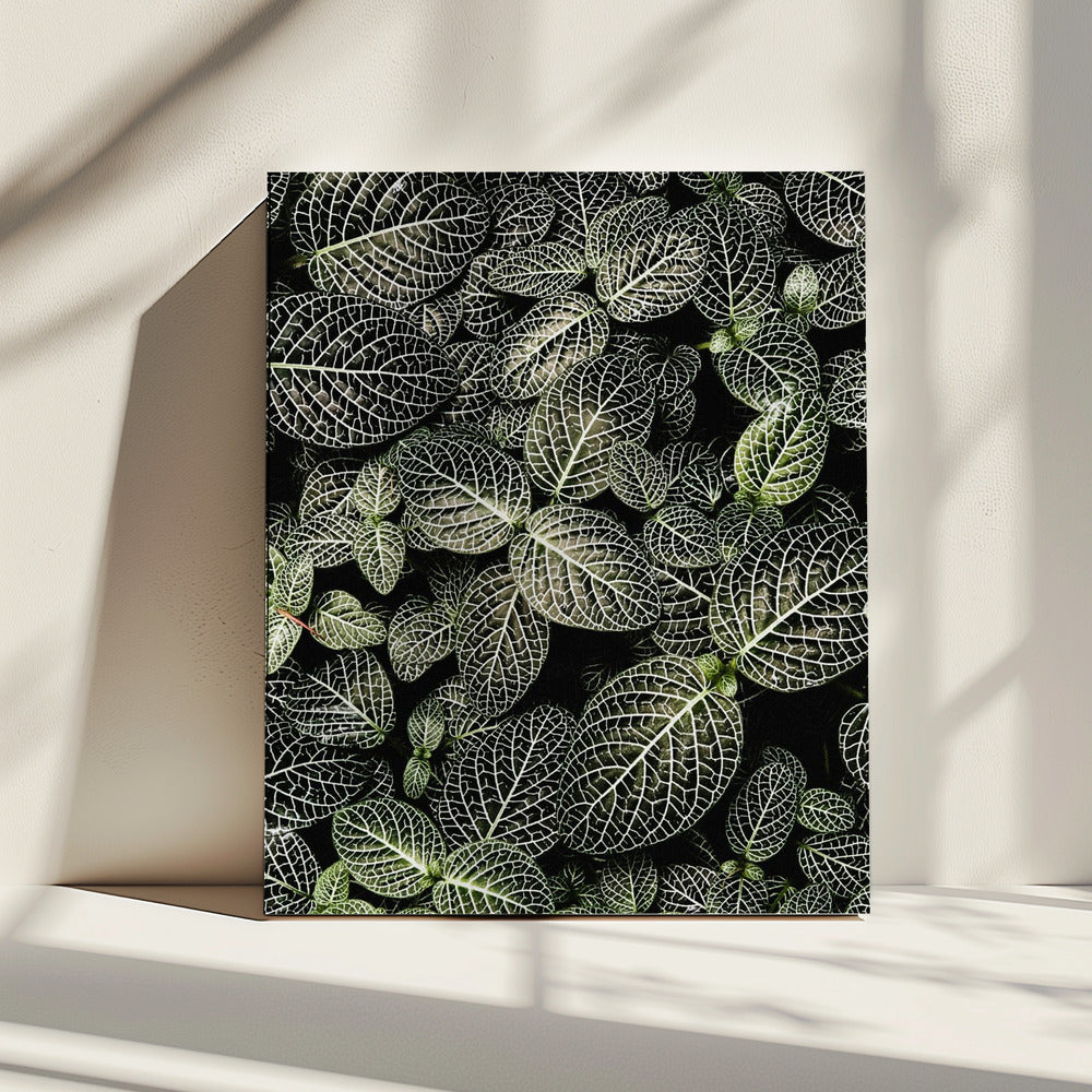 Veins of Nature | Canvas
