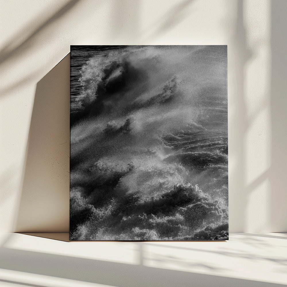 Tempest's Grace | Canvas