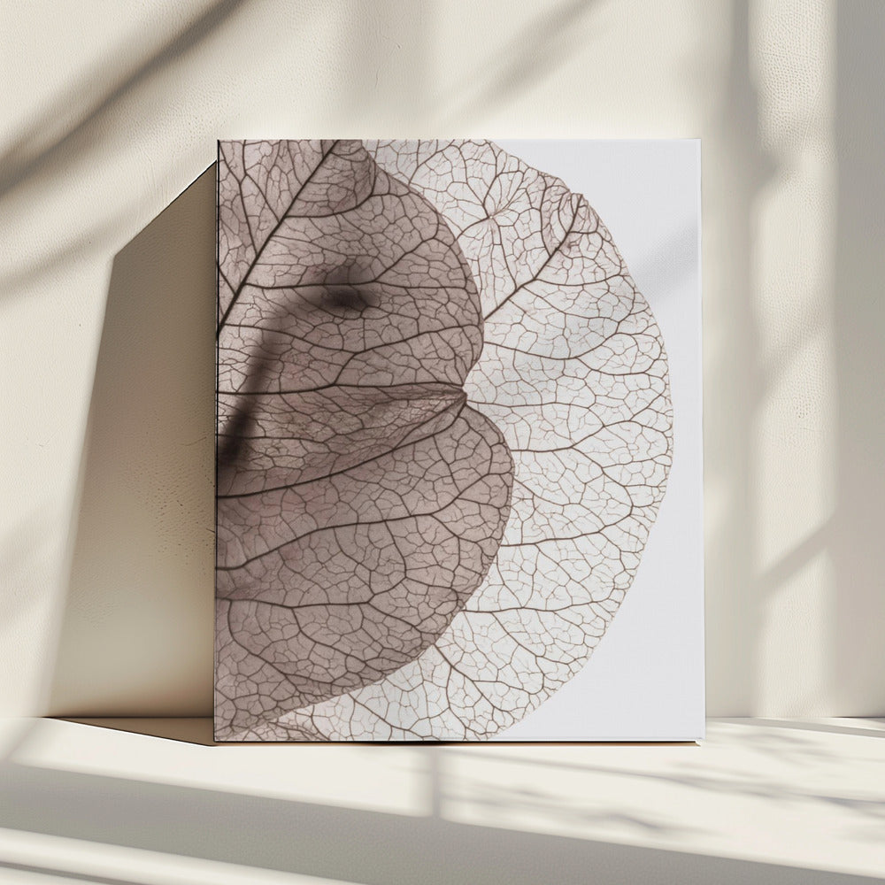 Aderen van de natuur | Canvas