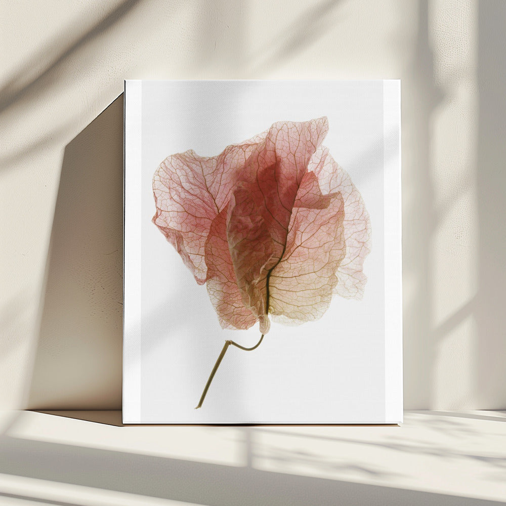 Delicate Bloemblaadjesaders | Canvas