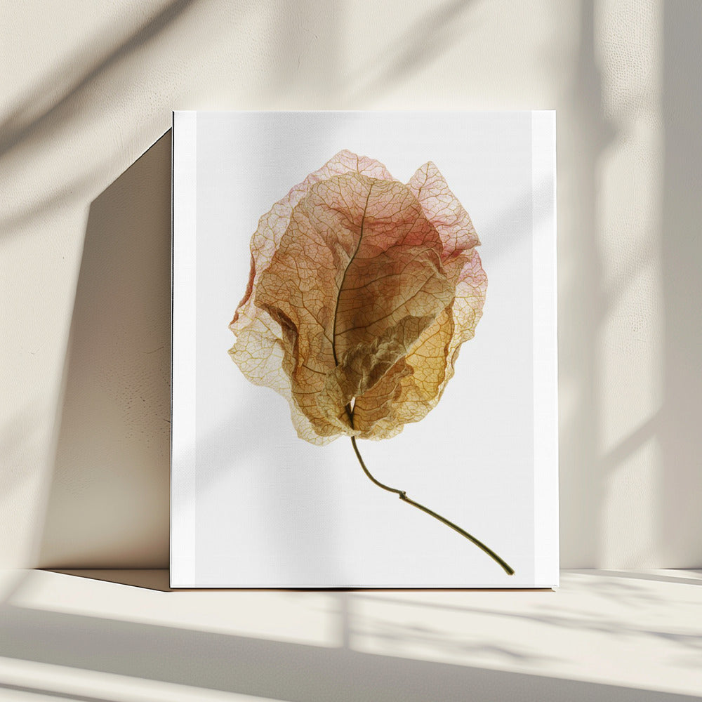Geaderde elegantie | Canvas