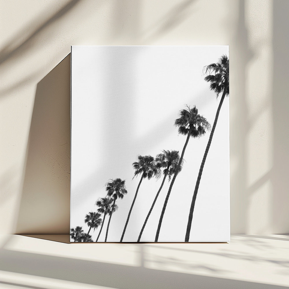Hoge Palmenparade | Canvas