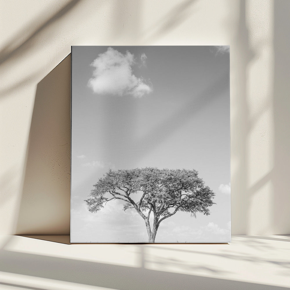 Dromen van een eenzame boom | Canvas
